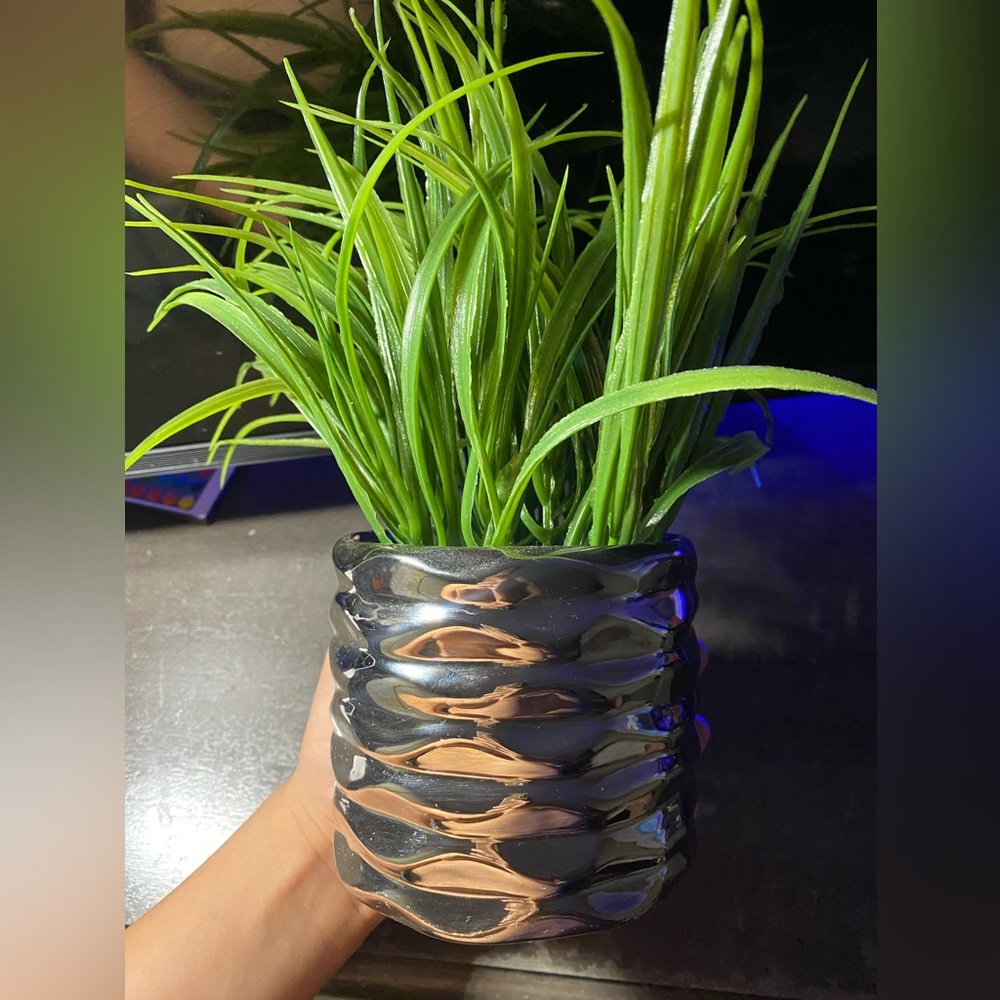 modern artificial plant